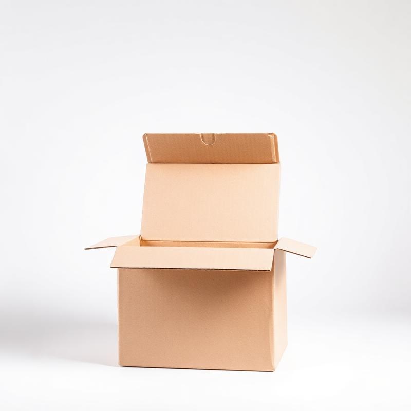 Mailer Box - Open box