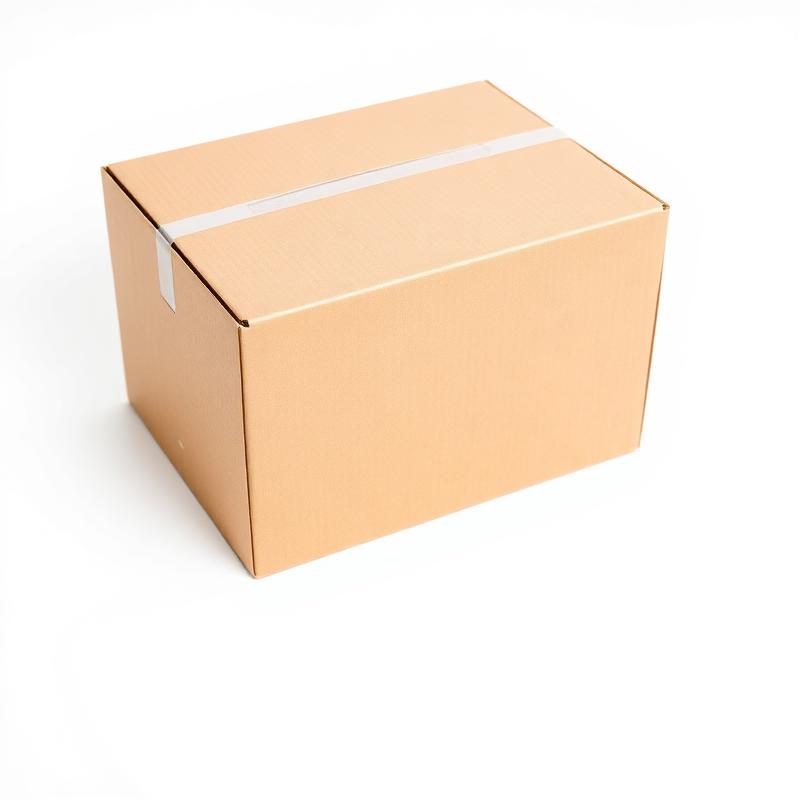 RTS Kraft Paper Box - Side angle