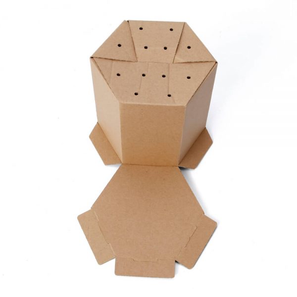 Hexagon Corrugated Box Wholesale7